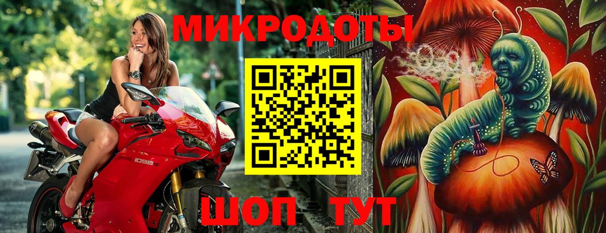 Псилоцибиновые грибы мицелий Ессентуки