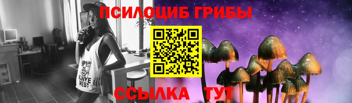 Ессентуки  Псилоцибиновые грибы GOLDEN TEACHER  наркота  Галлюциногенные грибы мицелий  Вход с VPN 